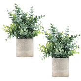 Coferset 2 Pack Small Fake Plants Eucalyptus Potted Artificial Plants for Shelf Desk Home Bathroom Farmhouse Room Coffee Table Decor (Sage Green) image 0